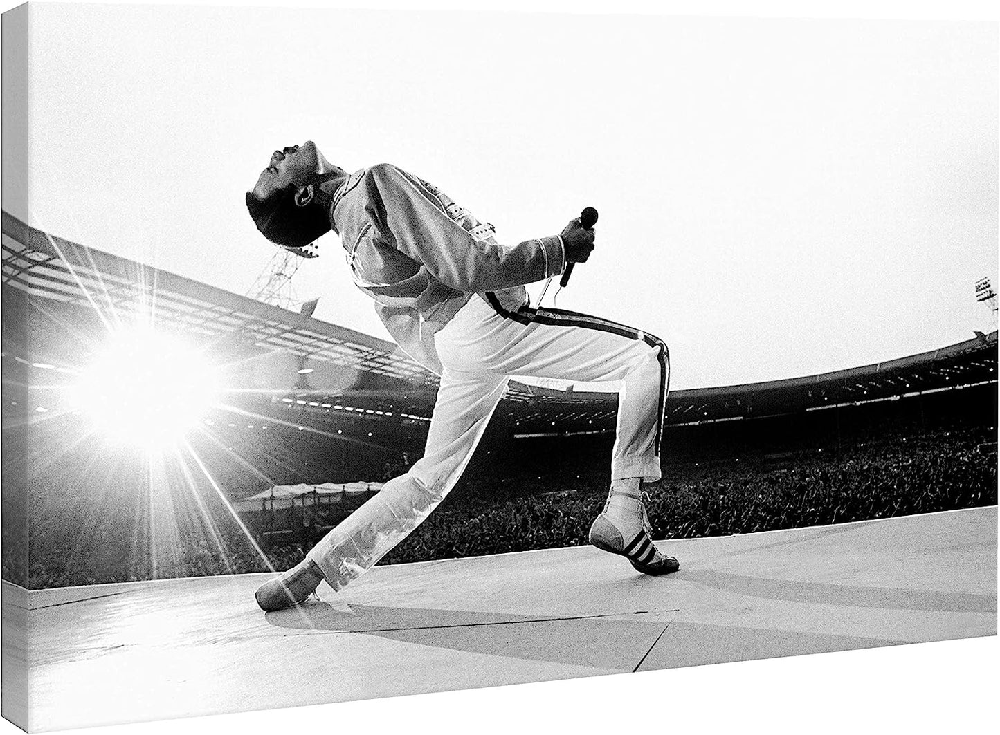 Quadro Freddie Mercury || Queen su tela pronto da appendere || quadri Pop Art || Stampe su Tela Canvas - Quadri Moderni Soggiorno