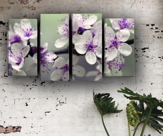 Fiori Viola || Orchidee || Quadri moderni con fiori