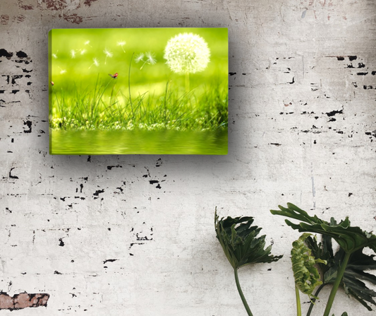 Fiore soffione || Quadri moderni