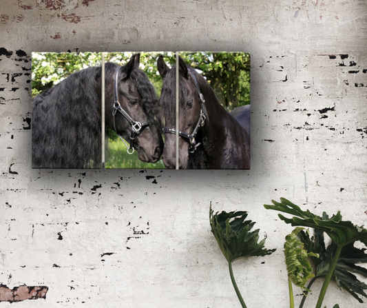 🐎 Quadri Cavalli Frisoni – Eleganza Potente in Stile Realistico