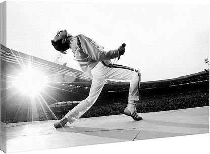 Quadro Freddie Mercury – Icona Pop Art su Tela Moderna