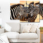 Quadri moderni || Animali || Quadro con Zebre