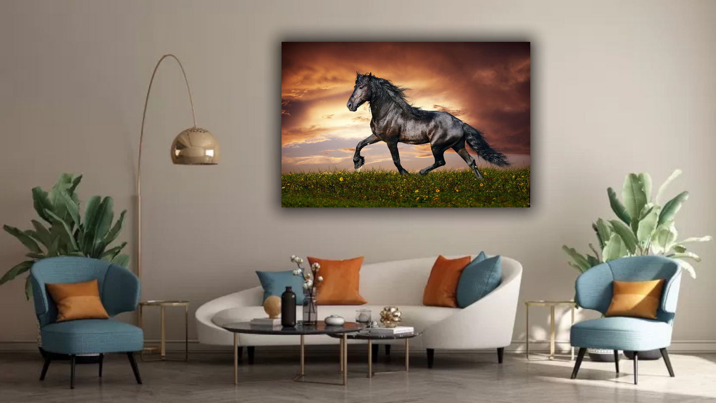 Stampa su tela || Cavallo Frisone || Quadri cavalli