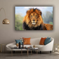 Quadro su tela || Leone || stampa tela leoni