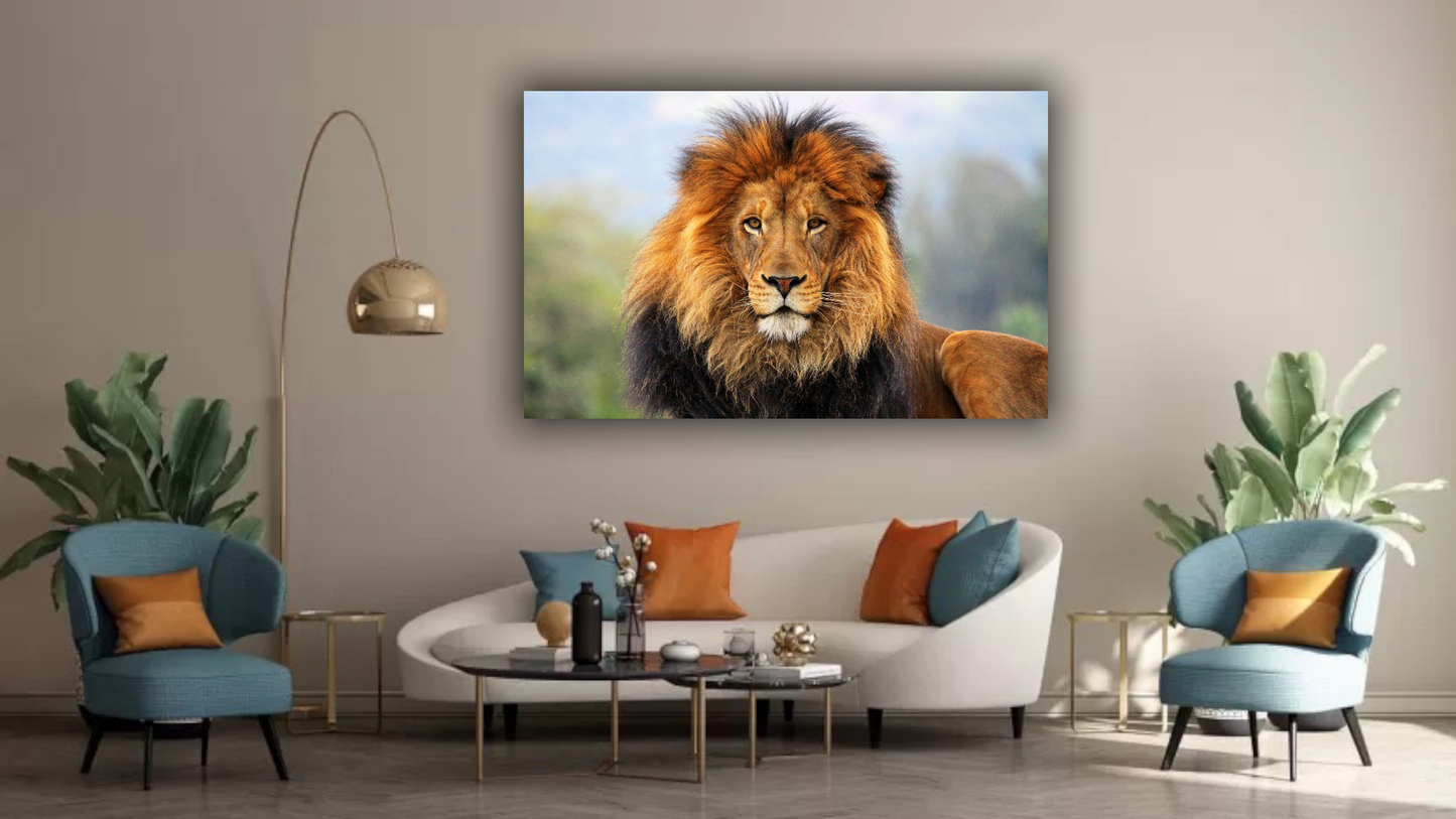 Quadro su tela || Leone || stampa tela leoni