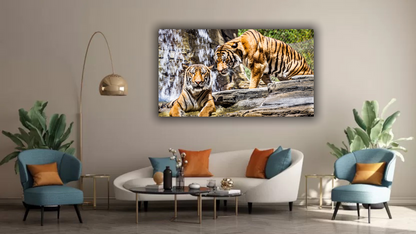 Cadre moderne || tableaux avec des Tigres || Animaux || Tableaux modernes