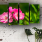 Fiori Rosa || Quadri moderni con fiori