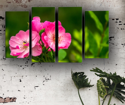 Fiori Rosa || Quadri moderni con fiori