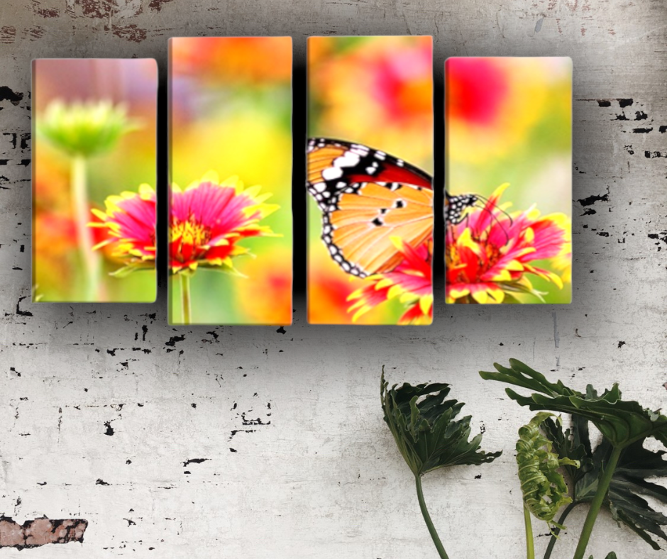 Papillons || Cadre coloré