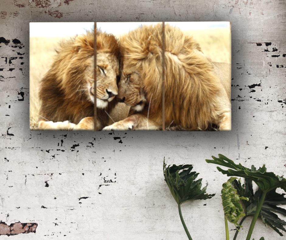 Quadro Moderno || Leoni || quadri Amore