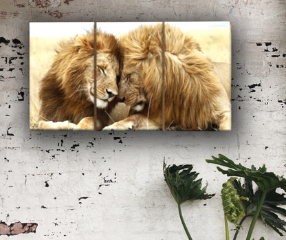 Cadre moderne || Lions || Peintures d'amour