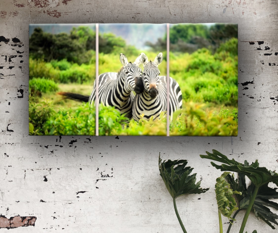 Quadri moderni || quadro con Zebre