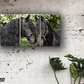 Tableaux modernes || Chevaux frisons