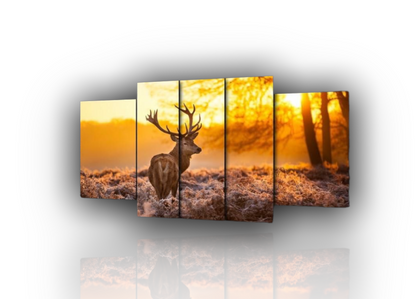 🦌 Quadro Cervo – Simbolo di Forza e Nobiltà nella Natura
