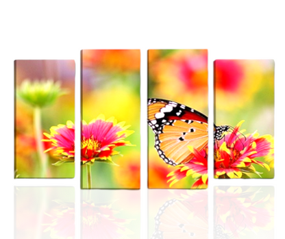 Papillons || Cadre coloré