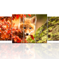 Peinture moderne || Renard || Animaux