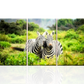 Quadri moderni || quadro con Zebre