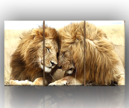 Cadre moderne || Lions || Peintures d'amour
