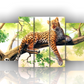 Quadro moderno || Leopardo || animali