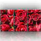 Quadro moderno || Fiori || Quadri di Rose rosse